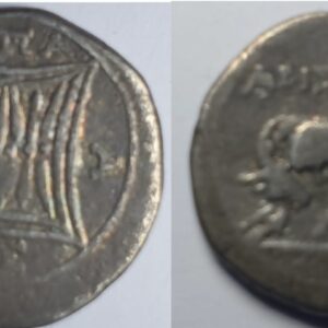 Lot 010