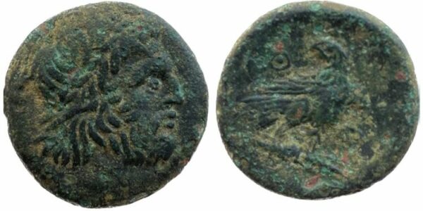 Lot 004