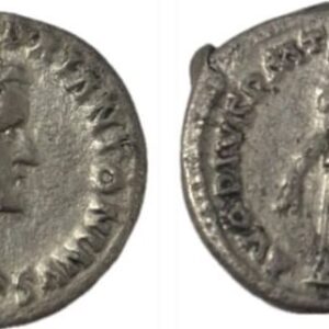 Lot 017