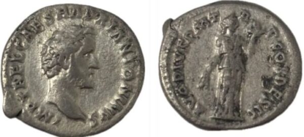 Lot 017