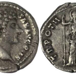 Lot 018