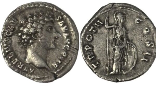 Lot 018