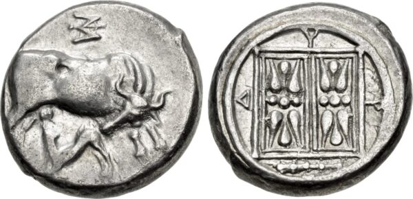 Lot 008